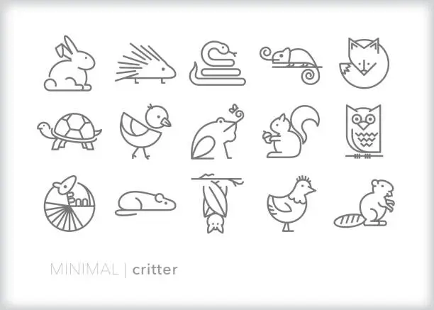 Vector illustration of Small animal critter line icon set