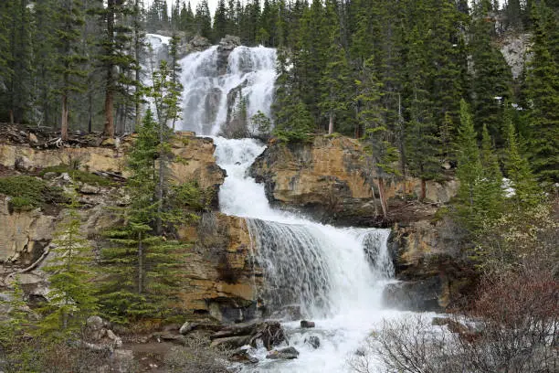Photo of Tangle creek waterfalls