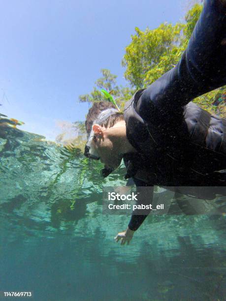 Man Floating Snorkeling At Rio Da Prata Bonito River Stock Photo - Download Image Now