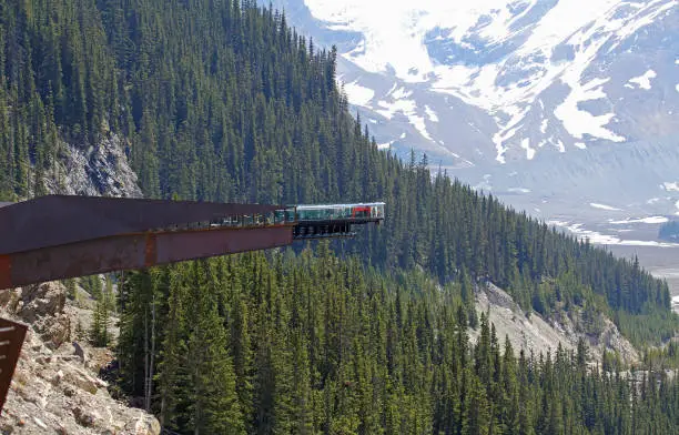 Photo of The Skywalk and Sunwapta Valley