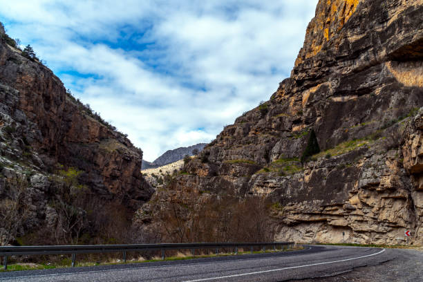 istock Scenic view of empty road with trees and mountains. 1147674924