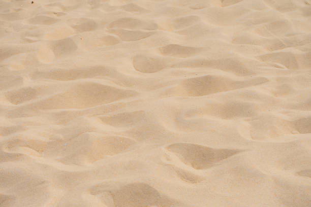 istock Close up- Fine beach sand in the summer sun 1147677823