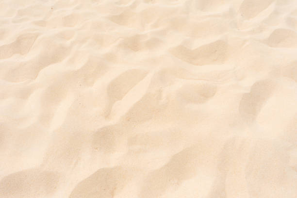 istock Fine beach sand in the summer sun 1147678504