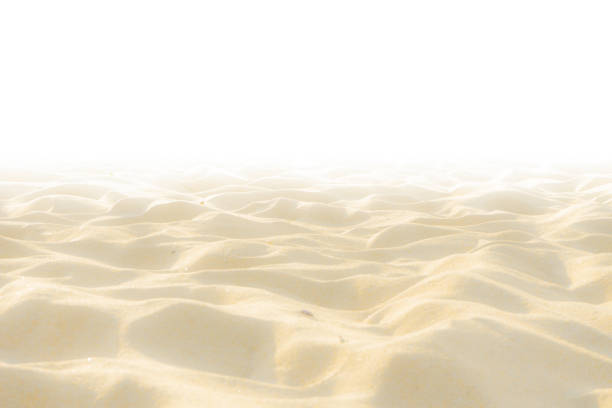 istock Fine beach sand in the summer sun- On white 1147682746