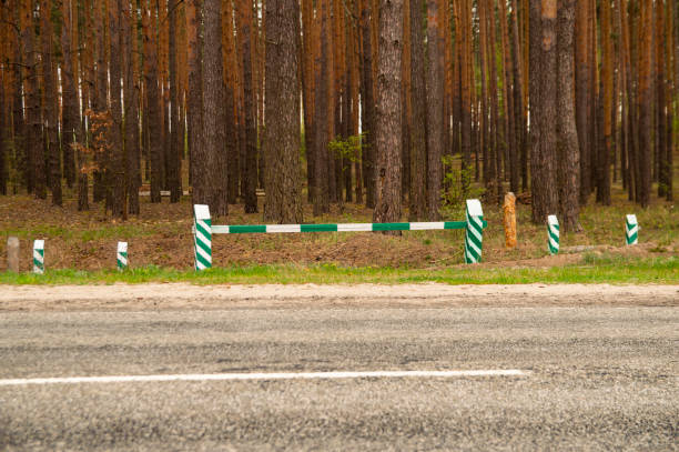 istock Barrier prohibiting entry into the forest cars 1147687756
