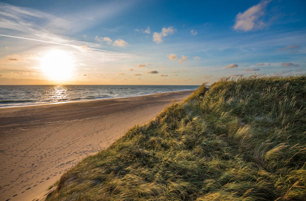 istock North sea beach, Jutland coast in Denmark 1147691214