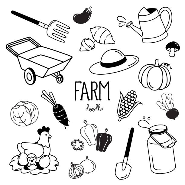 illustrations, cliparts, dessins animés et icônes de styles de dessin à la main avec des articles de ferme. doodle de ferme. - farm pumpkin autumn farmer