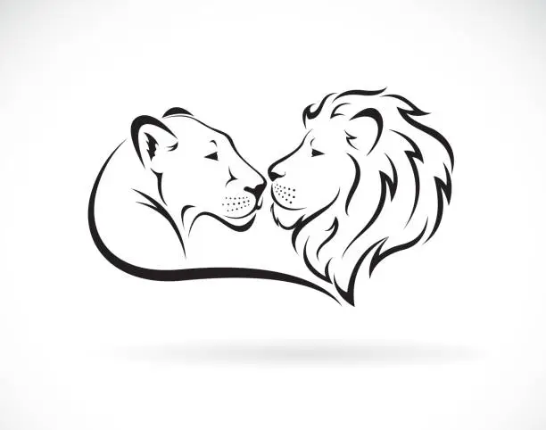 Vector illustration of Male lion and female lion design on white background. Wild Animals. Lion logo or icon. Easy editable layered vector illustration.