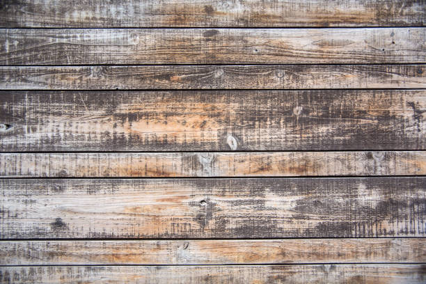 weathered wood /weathered wood texture