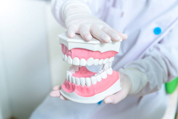 istock DENTAL CLINIC, DENTIST WITH TEETH MODEL 1147713466