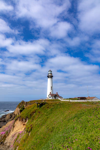 istock pigeon point lighthouse at highway no 1 in California 1147715764