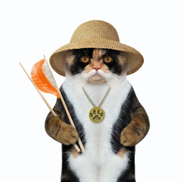 istock Cat eating sushi with chopsticks 2 1147716061