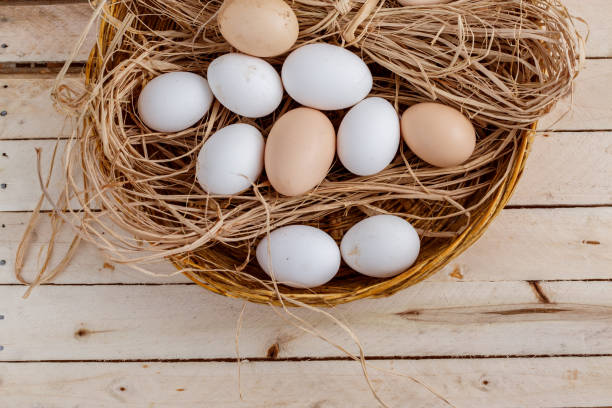 istock raw eggs in the hay on a wooden background 1147717453