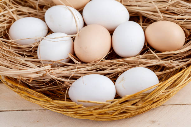 istock raw eggs in the hay on a wooden background 1147717478