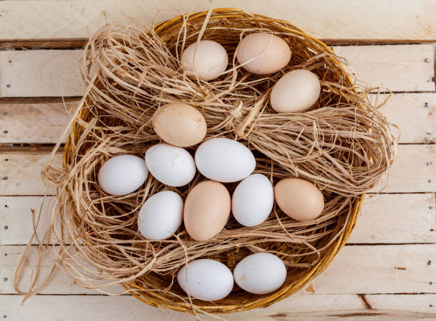 istock raw eggs in the hay on a wooden background 1147717521