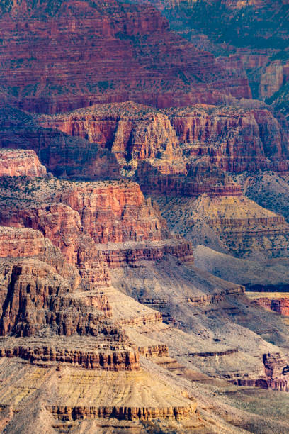 istock view to Grand Canyon 1147717972