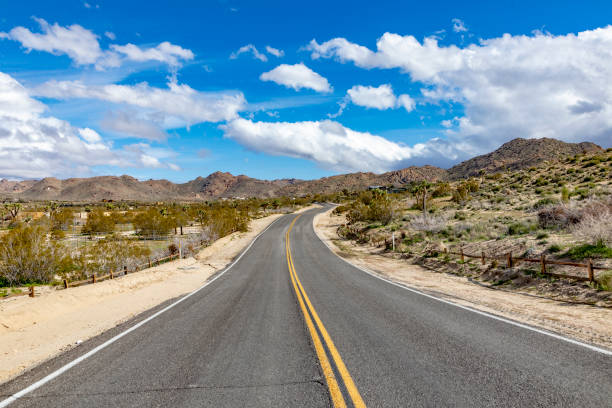istock landscape with joshua trees in the desert 1147720358