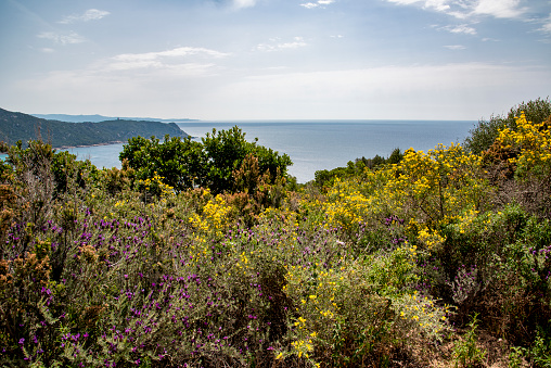 a view of the coast of Corsica from the south in spring