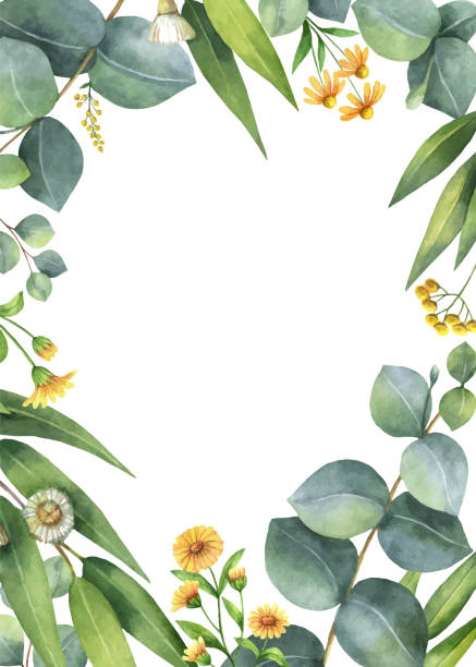 istock Watercolor vector card with green eucalyptus leaves and meadow plants. 1147733458