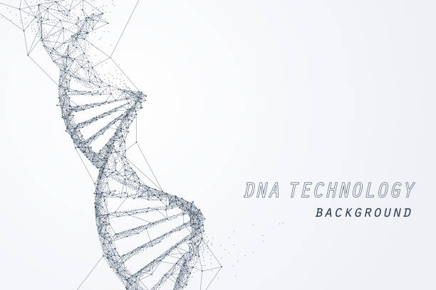 dna 가상, 기술 및 의료 개념의 와이어 프레임 - 분자 일러스트 stock illustrations