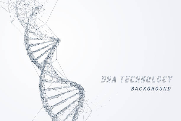 Wire frame of DNA virtual, technology and medical concept Wire frame of DNA virtual, technology and medical concept, vector art and illustration. genetic makeup stock illustrations