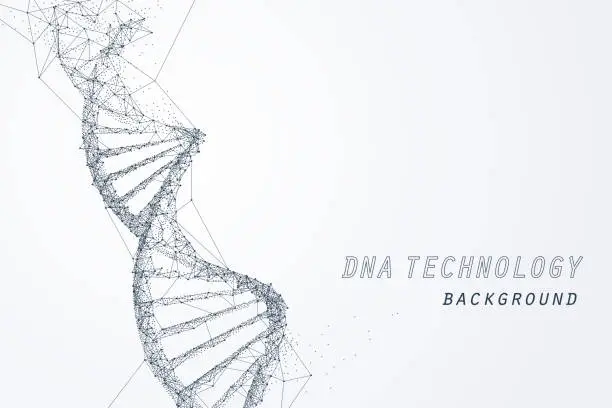 Vector illustration of Wire frame of DNA virtual, technology and medical concept