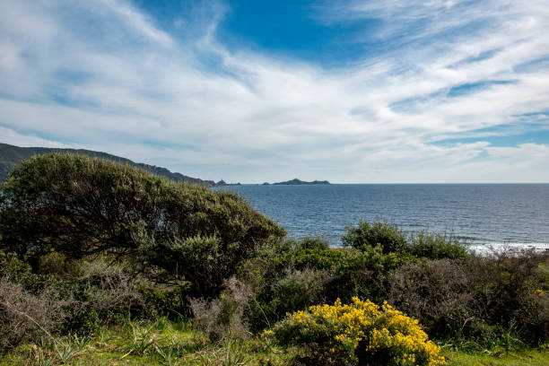 istock Corsican coastline in spring 1147735660