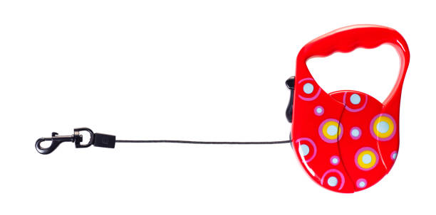 istock new red tape for dogs 1147736880