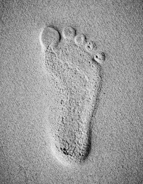 Photo of Footprint on sand at the beach with copy space