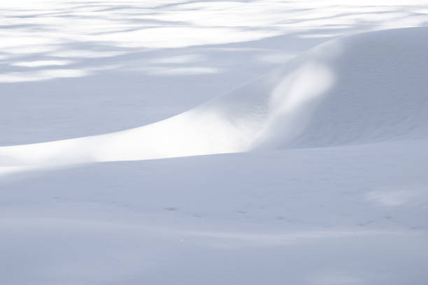 istock pattern of snow in the Sequoia national park 1147737631