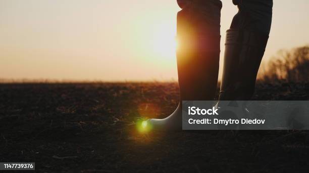 Male Farmer In Rubber Boots Walking Through Cultivated Agricultural Field Stock Photo - Download Image Now