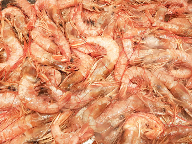 istock Full image of shrimp frying on a restaurant grill 1147741214