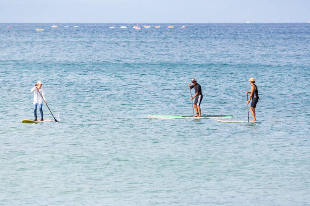 istock They are training on a SUP board on the sea a sunny morning. 1147741636