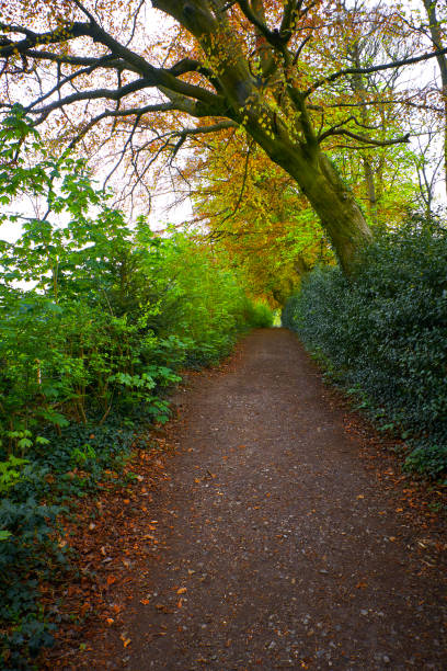 footpath stock photo