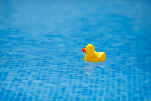 yellow rubber duck in blue swimming pool, close-up view