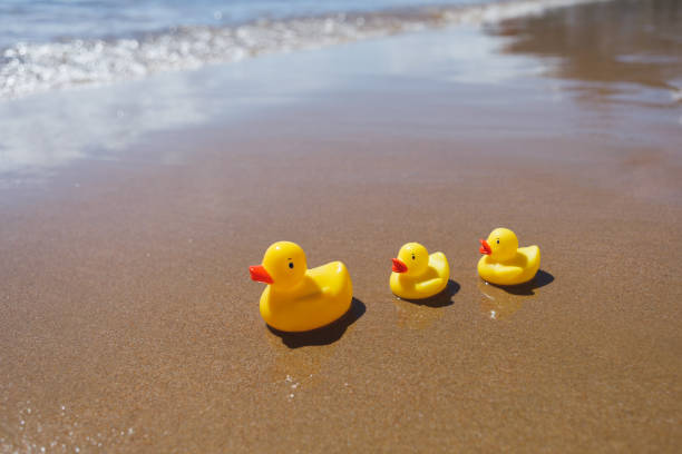 istock yellow rubber ducks on the beach 1147741778