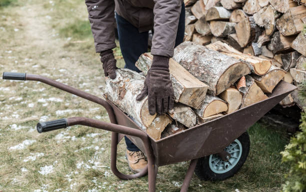 istock Country winter - man putting firewood on a barrow 1147745932
