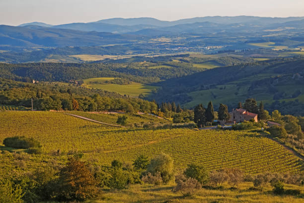 istock Beautiful landscape in Tuscany, Italy 1147747821
