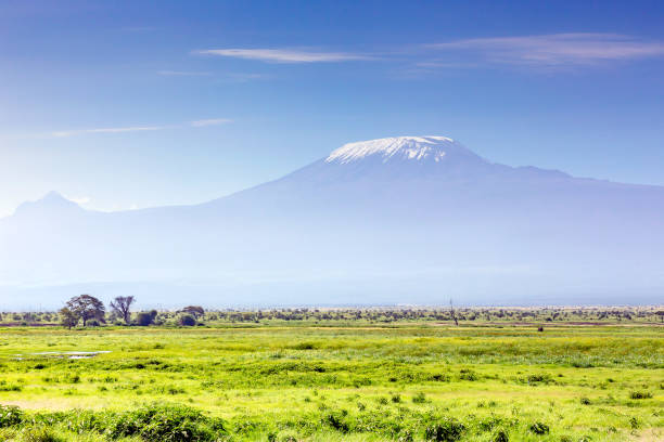 istock Mount Kilimanjaro and Mawenzi Peak with Acacia Tree 1147748963