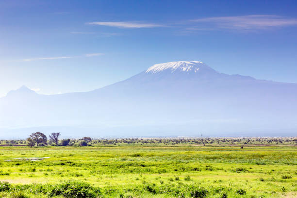 Mount Kilimanjaro and Mawenzi Peak with Acacia Tree Mount Kilimanjaro and Mawenzi Peak with Acacia Tree mawenzi stock pictures, royalty-free photos & images