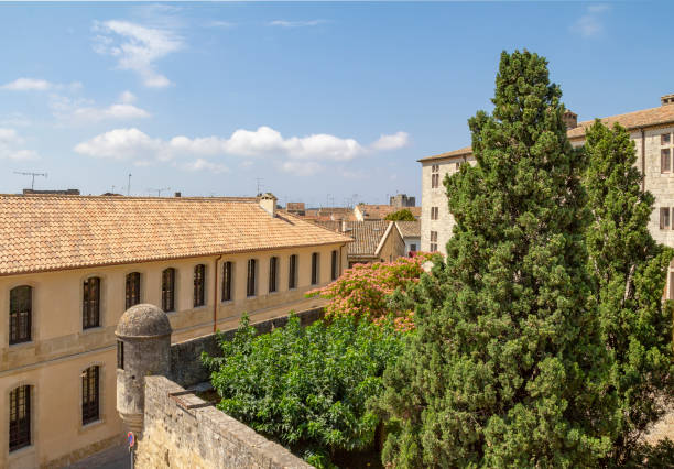 istock Aigues-Mortes in France 1147749681