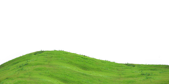 Green grass field on the hill in front of sky background. Can be use for nature content and backdrop for outdoor activities on the sunny clear day.