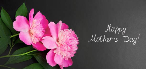 istock Wide Angle Creative greeting card Happy Mother's Day 1147751205