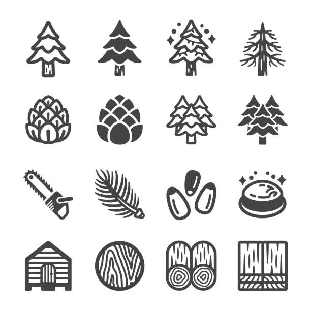 소나무 아이콘 세트 - 겨울나무 stock illustrations
