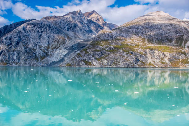 istock Glacier Bay National Park, Alaska 1147753567