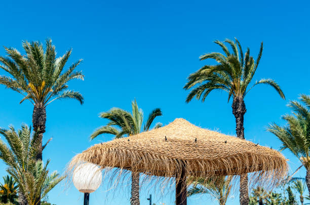 istock Summer holiday and vacation concept 1147754201