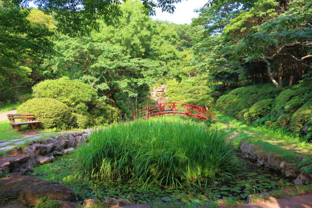 istock La Arboretum, parks, forests, forest, 1147755019