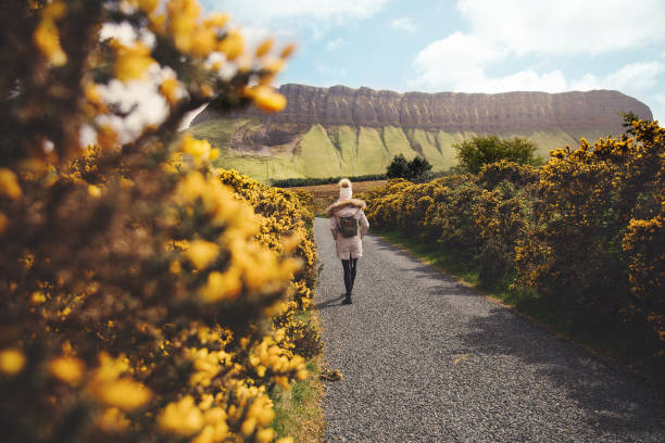 istock There is a way that nature speaks 1147755075