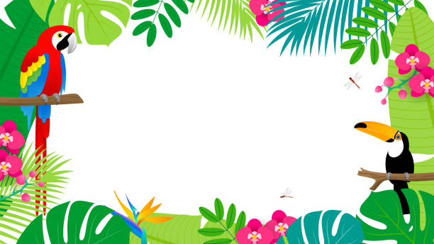 Summer Tropical Background Vector illustration. Toco toucan and Scarlet Macaw on tropical leaves frame. Summer Tropical Background Vector illustration. Toco toucan and Scarlet Macaw on tropical leaves frame. bird borders stock illustrations
