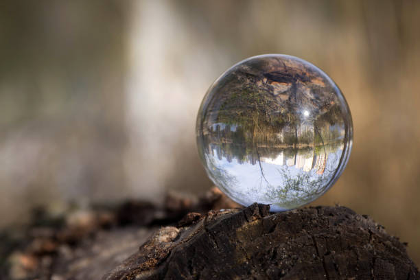 istock Nature in a glass bowl 1147757583